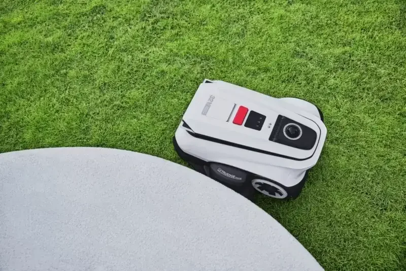 Miniatura 8