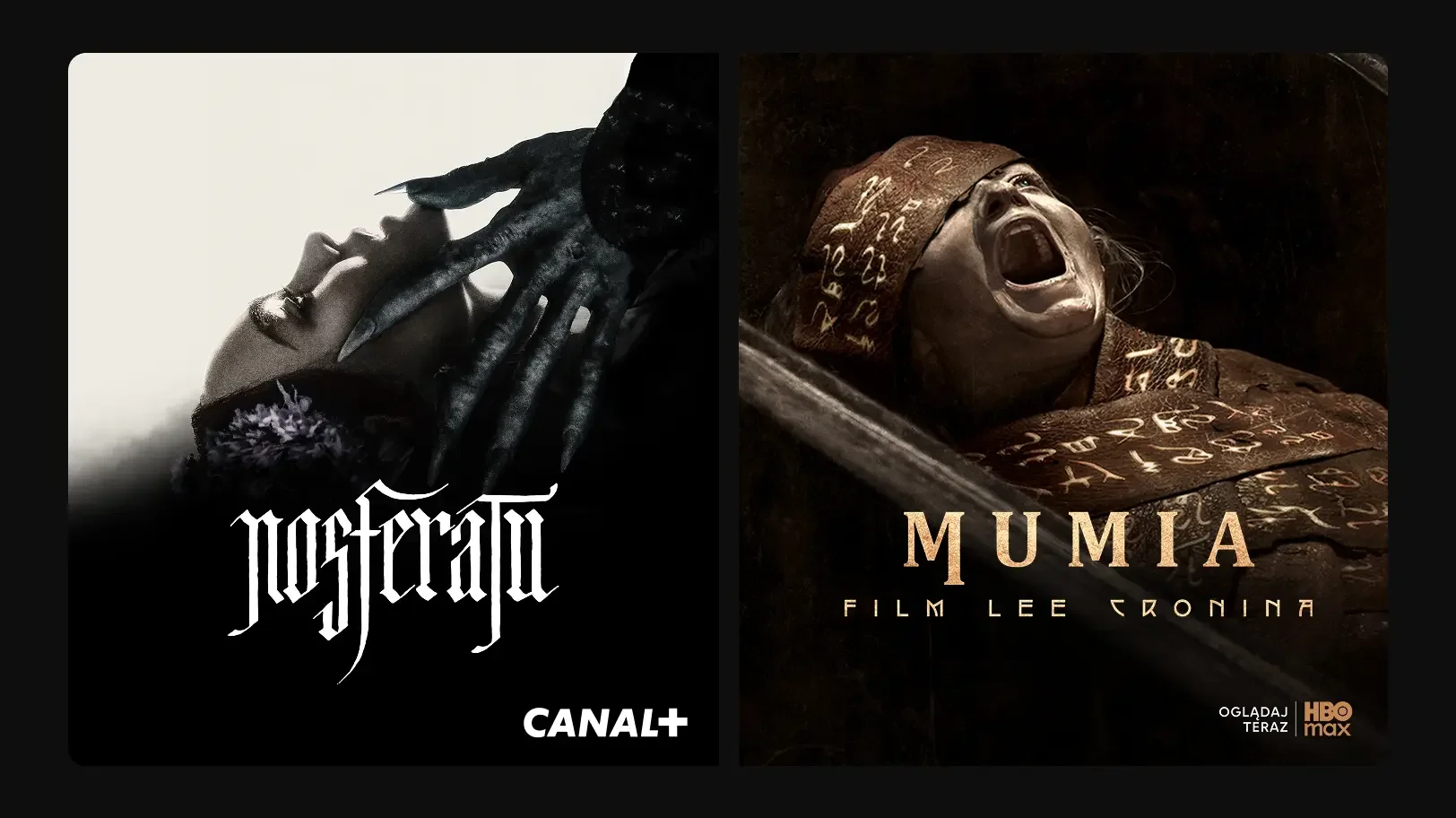 Canal+ Film i Seriale Online z HBO Max (29 zł/mc) lub Ultra z HBO Max (79 zł/mc)