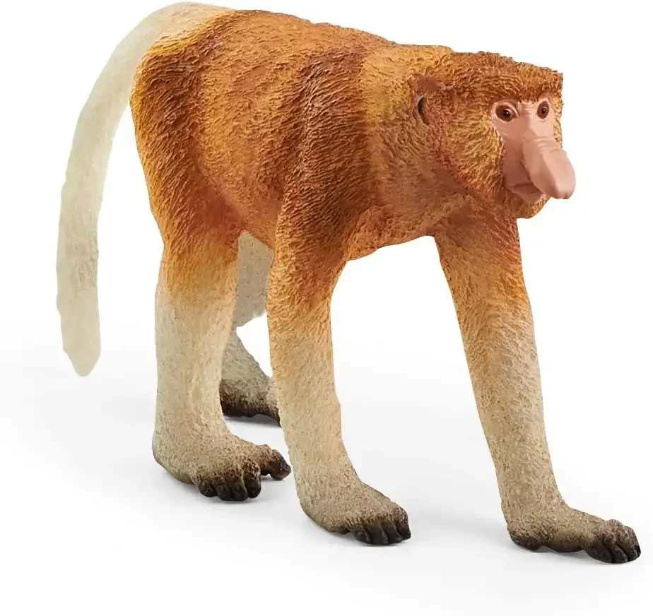 Miniatura 8